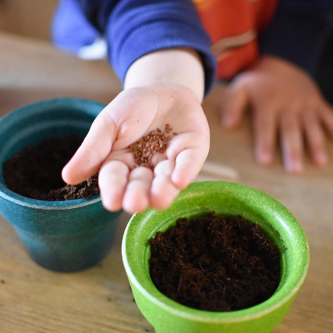 Plan Toys Flower Pots BABI PUR