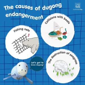 Plan Toys Dugong conservation - what are the causes of dougong decline?