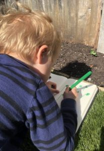 Learning in the garden