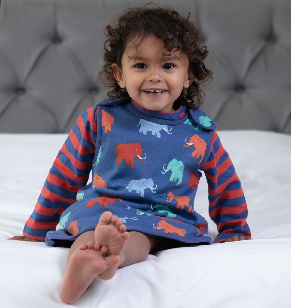 Piccalilly Mammoth reversible dress
